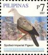 Colnect-2876-073-Spotted-Imperial-Pigeon-nbsp-Ducula-carola.jpg