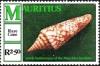 Colnect-3213-573-Glory-of-India-Cone-Conus-milneedwardsi.jpg