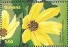 Colnect-3609-736-Helianthus-maximiliani.jpg