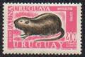 Colnect-1718-958-Nutria-Myocastor-coypus.jpg