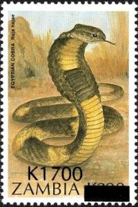 Colnect-5947-836-Egyptian-Cobra-Naja-hajae.jpg