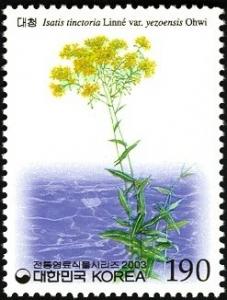 Colnect-1606-143-Isatis-tinctoria-Linn%C3%A9-var%C2%A0yezoensis-Ohwi.jpg