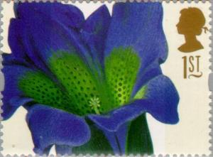 Colnect-123-140-Gentiana-acaulis-Ehret.jpg