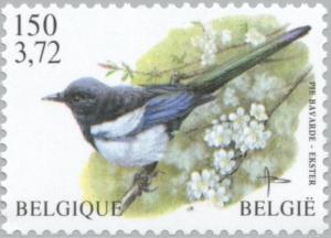 Colnect-187-700-Eurasian-Magpie-Pica-pica.jpg