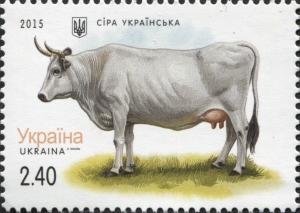 Colnect-3081-820-Grey-Ukrainian-Bos-primigenius-taurus.jpg