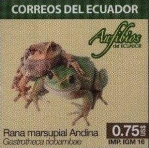 Colnect-3334-468-Riobamba-Marsupial-Frog-Gastrotheca-riobambae.jpg