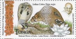 Colnect-3434-678-Indian-Cobra-Naja-naja.jpg