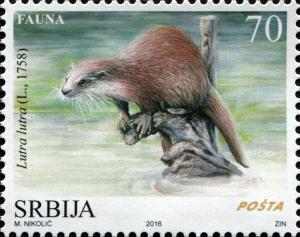 Colnect-3956-480-Eurasian-Otter-Lutra-lutra.jpg