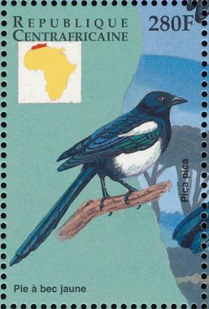 Colnect-4383-437-Eurasian-Magpie-Pica-pica.jpg