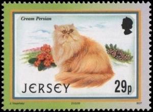 Colnect-5155-946-Cream-Persian-Felis-silvestris-catus.jpg