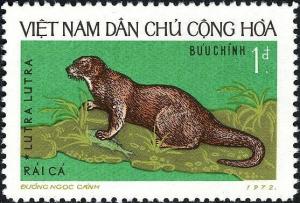 Colnect-5494-136-Eurasian-Otter-Lutra-lutra.jpg