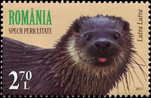 Colnect-5554-871-Eurasian-Otter-Lutra-lutra.jpg