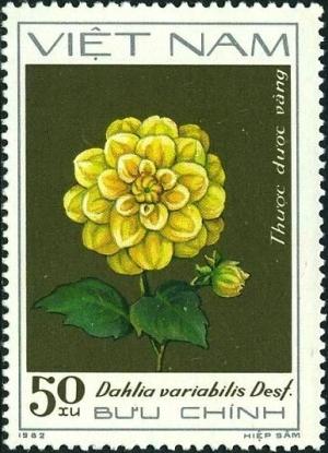 Colnect-5876-919-Yellow-dahlias-Dahlia-variabilis-Desf.jpg