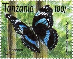 Colnect-5975-356-Tanzanian-Diadem-Hypolimnas-antevorta.jpg