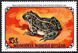 Colnect-870-711-Mongolian-Toad-Bufo-raddei.jpg