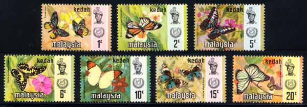 Skap-malaysia_54_bfly.jpg