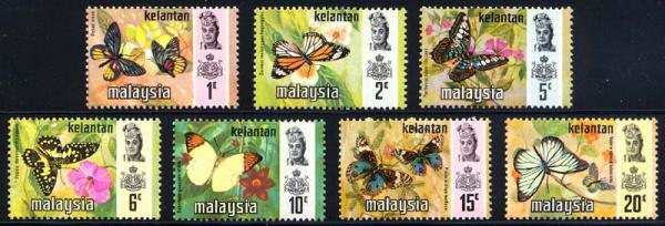 Skap-malaysia_57_bfly.jpg