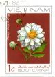 Colnect-4823-824-White-dahlias-Dahlia-variabilis-Desf.jpg