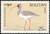 Colnect-1720-390-Ibisbill-Ibidorhyncha-struthersii.jpg