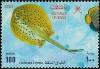 Colnect-1899-663-Bluespotted-Ribbontail-Ray-Taeniura-lymma.jpg