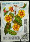 Colnect-2100-385-Hibbertia-dentata.jpg