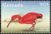 Colnect-4592-810-Scarlet-Ibis----Eudocimus-ruber.jpg