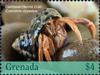 Colnect-5753-769-Caribbean-Hermit-Crab.jpg