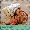 Colnect-5753-774-Caribbean-Hermit-Crab.jpg