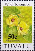 Colnect-3939-244-Hibiscus-tiliaceus.jpg