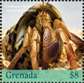 Colnect-5753-775-Caribbean-Hermit-Crab.jpg