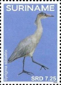 Colnect-4204-532-Syrigma-sibilatrix-Whistling-Heron.jpg