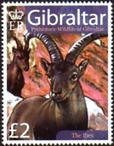 Colnect-2132-420-Ibex-Capra-ibex.jpg