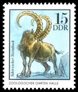 Colnect-1979-677-Siberian-Ibex-Capra-ibex-sibirica.jpg