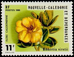 Colnect-853-924-Hibbertia-virotii.jpg