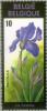 Colnect-186-528-Flowers-Exhibition----Iris-florentina.jpg