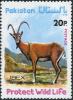 Colnect-2152-229-Ibex-Capra-ibex.jpg