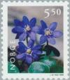 Colnect-162-596-Hepatica-Hepatica-nobilis.jpg