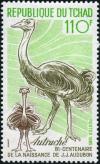 Colnect-2387-719-Ostrich-Struthio-camelus.jpg