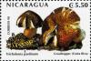 Colnect-3188-490-Tricholoma-pardinum.jpg