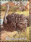 Colnect-5250-730-Ostrich-Struthio-camelus.jpg