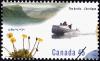 Colnect-593-393-Canadian-Arctic--Arctic-poppy-cargo-canoe.jpg