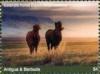 Colnect-6446-175-Icelandic-Horses.jpg