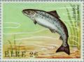 Colnect-128-674-Atlantic-Salmon-Salmo-salar.jpg