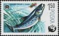 Colnect-1997-666-Atlantic-Salmon-Salmo-salar.jpg