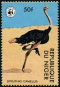 Colnect-2078-420-Ostrich-Struthio-camelus.jpg