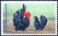 Colnect-2224-389-Black-Bantam-Chicken-Gallus-gallus-domesticus.jpg