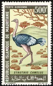 Colnect-1917-227-Ostrich-Struthio-camelus.jpg