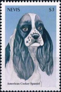 Colnect-4411-225-American-cocker-spaniel.jpg