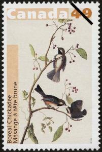 Colnect-2972-257-Boreal-Chickadee-Parus-hudsonicus.jpg