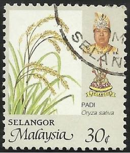 Colnect-4133-045-Rice-Oryza-sativa.jpg